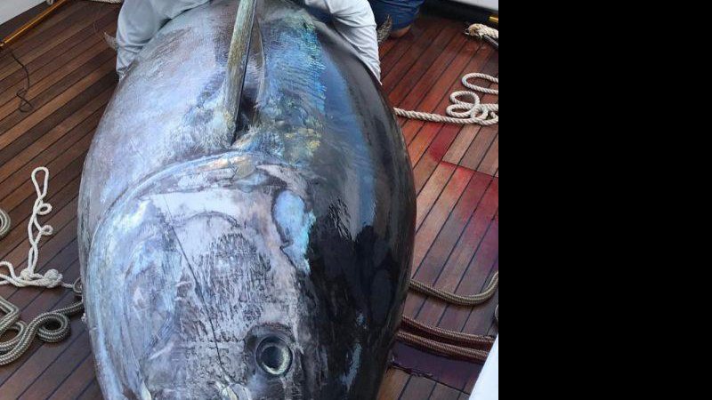 Kaleb Richardson com o atum de 380 quilos - Foto: Reprodução/ Facebook (Whoo Dat Sportfishing)