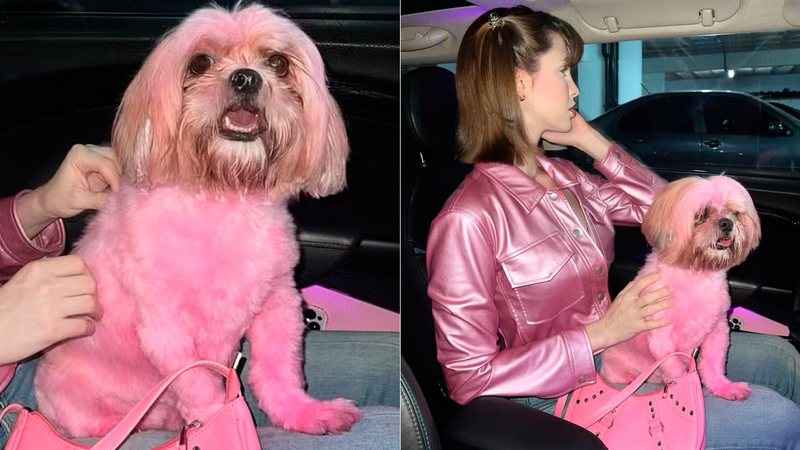 Sabrina Low foi criticada por pintar os pelos de seu cachorro para combinar com a roupa - Foto: Divulgação/ CO Assessoria